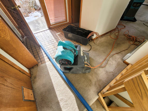  Nicholasville, KY Water damage restoration Pros
