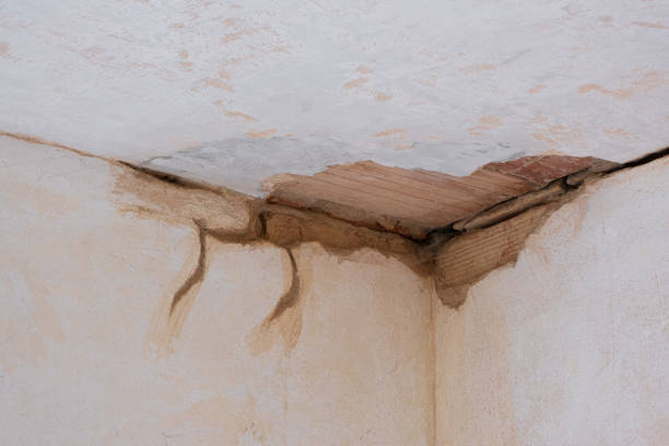 Water damage restoration mold remediation in KY