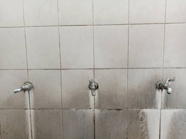 Best Flood damage cleanup  in Nicholasville, KY