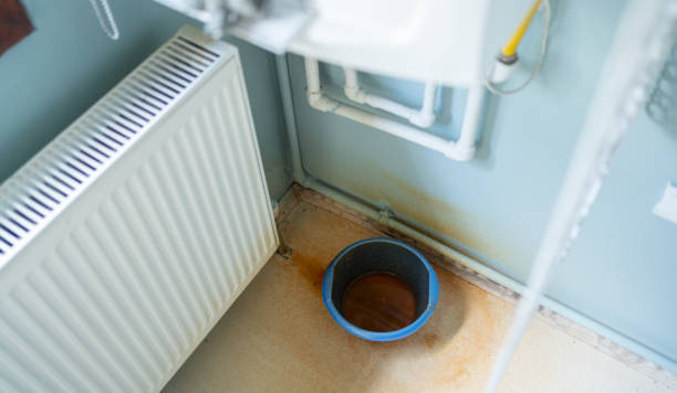 Best Mold removal after water damage  in Nicholasville, KY