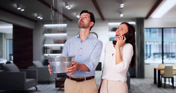 Best Local water damage restoration  in Nicholasville, KY